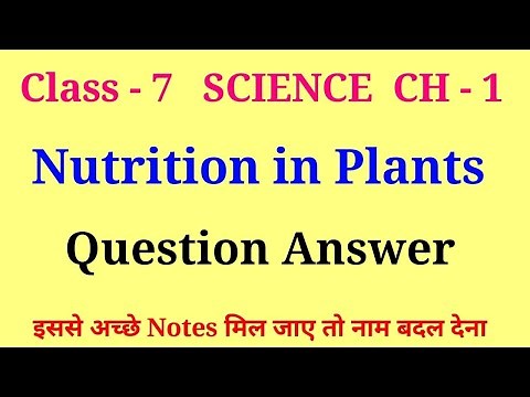 nutrition in plants class 7 questions and answers | class 7 science chapter 1 question answer