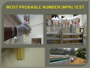 MOST PROBABLE NUMBER (MPN) TEST