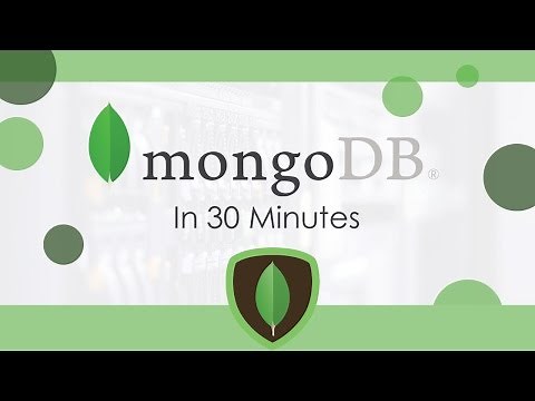 MongoDB In 30 Minutes