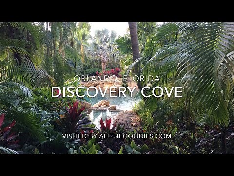 Discovery Cove, Orlando 4K | allthegoodies.com