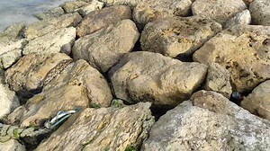 Iwayan Guntur on Reels | Facebook