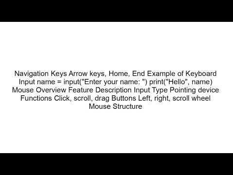 Keyboard and Mouse Explained | Basic Input Devices for Beginners