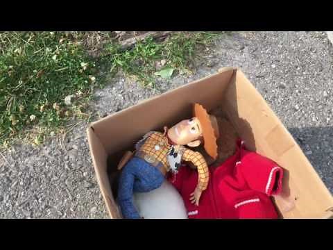 The Cursed Woody Doll