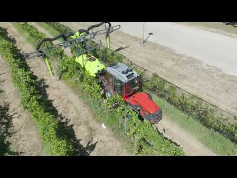 Antonio Carraro em ação na Agroglobal 2025