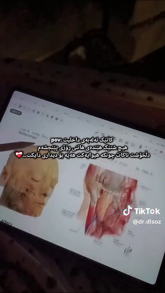 A Day in the Life of a Dentist with Patients