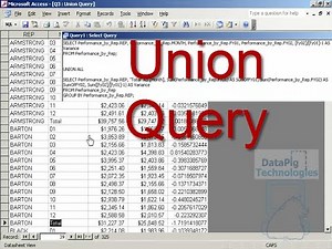 Step by step design of Union query to show both detail and summary data ~ DataPig