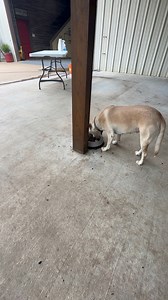 26K views · 5.2K reactions | Happy Fri-yay! | From Suits to Boots | Facebook