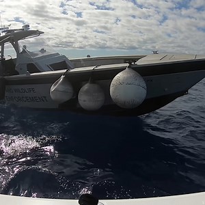 Catching a HUGE Swordfish WHILE being boarded by FWC | South Florida Fishing Channel