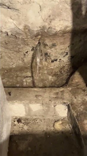 Water leak in a stone foundation