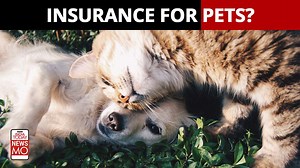 Pet insurance is a special type of insurance for animals that can help safeguard their overall health and well-being. #Pets #Insurance #Animals #AnimalHealth #PetInsurance | India Today | Facebook