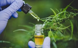 CBD and Cannabis Laboratory Analysis and Testing