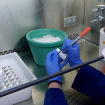 Video: Capturing Actively Produced Microbial Volatile Organic Compounds from Human-Associated Samples with Vacuum-Assisted Sorbent Extraction