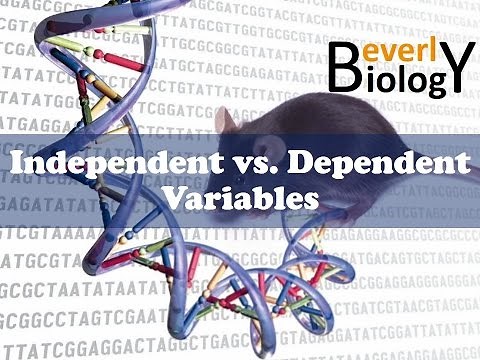 Independent vs Dependent Variables