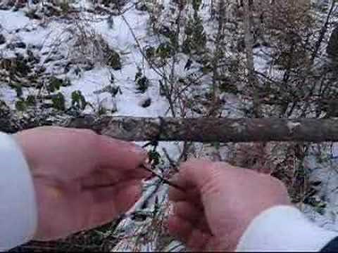 Snaring Rabbits - How to Set a Rabbit Snare