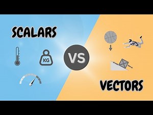 Understanding Scalars and Vectors