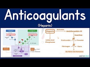 Anticoagulants: Heparin Mechanisms, Clinical Use, and Monitoring and Clinical Insights