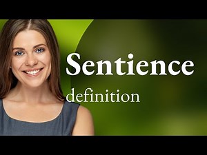 Sentience — SENTIENCE definition