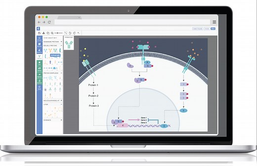 World's First Software for Scientific Figure Making | BioRender