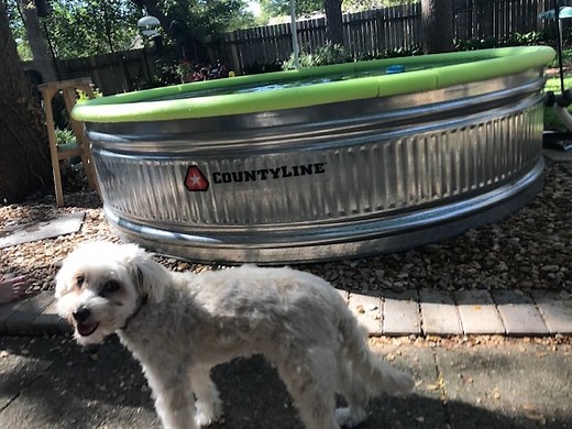 16 Biggest Pros and Cons of Stock Tank Pools - Bathtubber