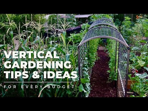 VERTICAL GARDENING TIPS & IDEAS: Why and how to add VERTICAL SPACE to your garden for EVERY BUDGET