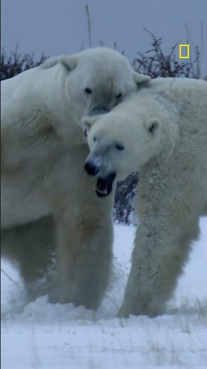 Turn it up. Nature already did.