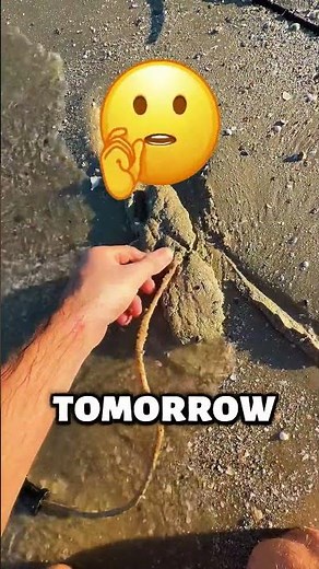 This Beach Discovery Took a WILD Turn 😱🏝️