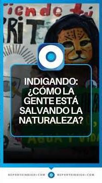 Community Resistance: How Communities Defend Mexico's Ecosystems | Reporte Indigo