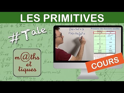 THE COURSE: Primitives - Terminale