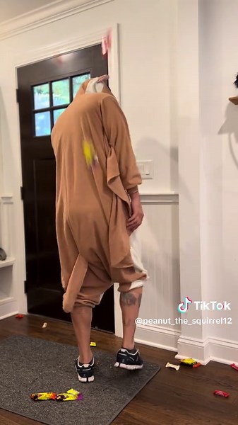 Squirrel parties #foryoupage #foryou #video #viral #animals @Squirrel Dad