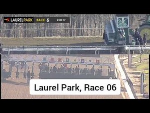 US Horse Racing Replays | Gulfstream Park, Laurel Park & Aqueduct Highlights (Yesterday)
