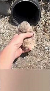 🦉 Guardian of Secrets🗝️