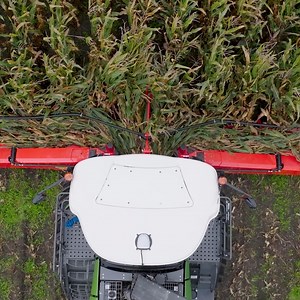 10K views · 275 reactions | Satisfied customers from Lower Saxony, Germany, share their experience with the Fendt Katana. Benefit now from the Fendt Early Bird and experience its performance and throughput yourself. Find out more here: https://www.fendt.com/early-bird-2025 | Fendt | Facebook