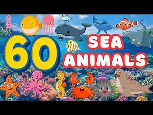 60 Cool Sea Animals for Kids | Ocean Animal Learning Fun