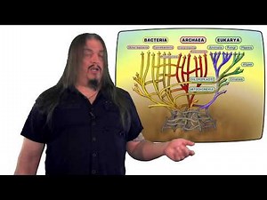 Systematic Classification of Life - ep2, Eukarya