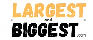 What is the World’s Most Expensive Firework? - LargestandBiggest.com