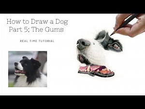 How to Draw a Realistic Dog in Colour Pencils | Real Time Tutorial | Part 6 Black Fur
