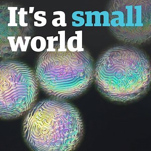 The Nikon Small World in Motion competition celebrates photomicrography, images and footage filmed through light microscopes, giving us a glimpse of the minuscule detail all around us and the intricate beauty our eyes can't usually detect. Here are some entries from over the years. | The Guardian