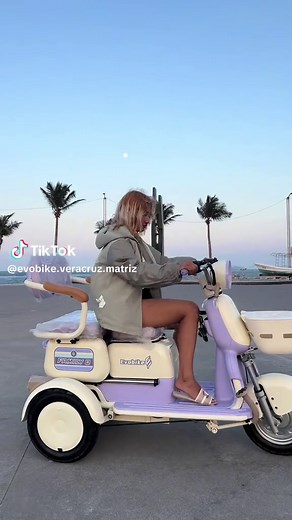 EvoBike Family Q electric tricycle review