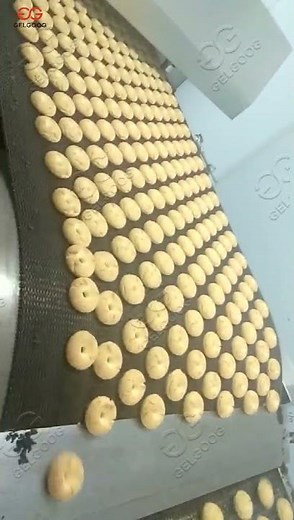 Automatic Oreo Biscuit Making Machine|Cookie Production Line Cost