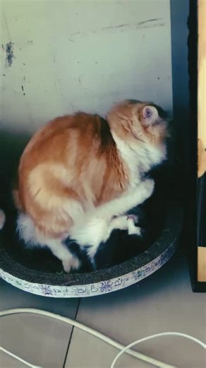 13K views · 215 reactions | Explore World on Reels | Facebook