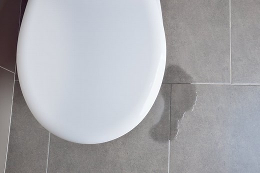 Toilet Leaks Only When Flushed: How To Fix Base And Tank Leaks