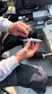 How To Rig Anchovies For 360 Flasher Salmon Fishing / Rogue River Chinook Salmon 2023