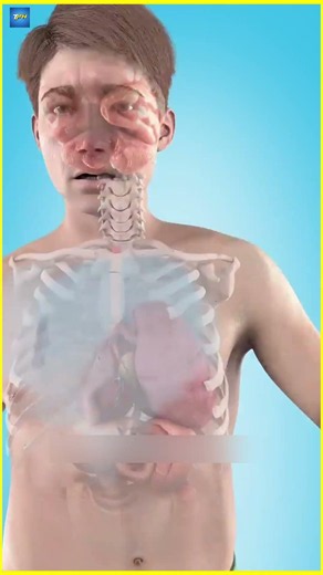 What To Do If a Lung Gets Punctured 😱