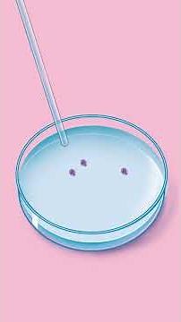 How Does IVF Work?
