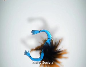 11K views · 293 reactions | All your questions will be answered At the right time ❤️連 | Meme Society | Facebook