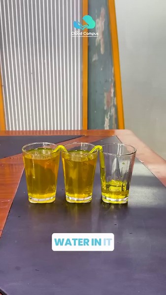 The Siphon Effect Explained: Mind-Blowing Science Experiment You Have to See!