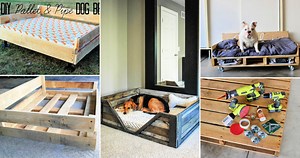 20 Easy DIY Pallet Dog Bed Ideas (How to Make)