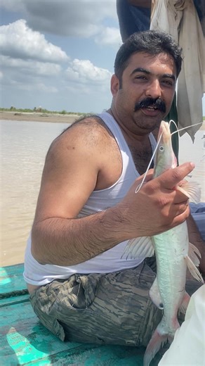 Delicious Singara Fish Cooking Recipe