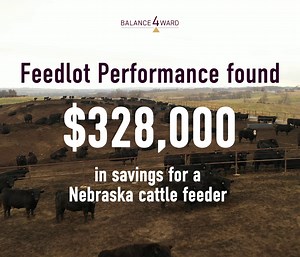 What would you do with $328,000? A Nebraska cattle feeder wanted more out of his business and reached out to our team. Take a step towards your operational efficiency. Give Kelby a call at 712-785-3766 or reach out here: https://q5yx9.share.hsforms.com/2PXSaqdYeRzWXaFCitNbfUg | Balance4ward