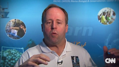 Deadliest tsunami ever: 10 years on